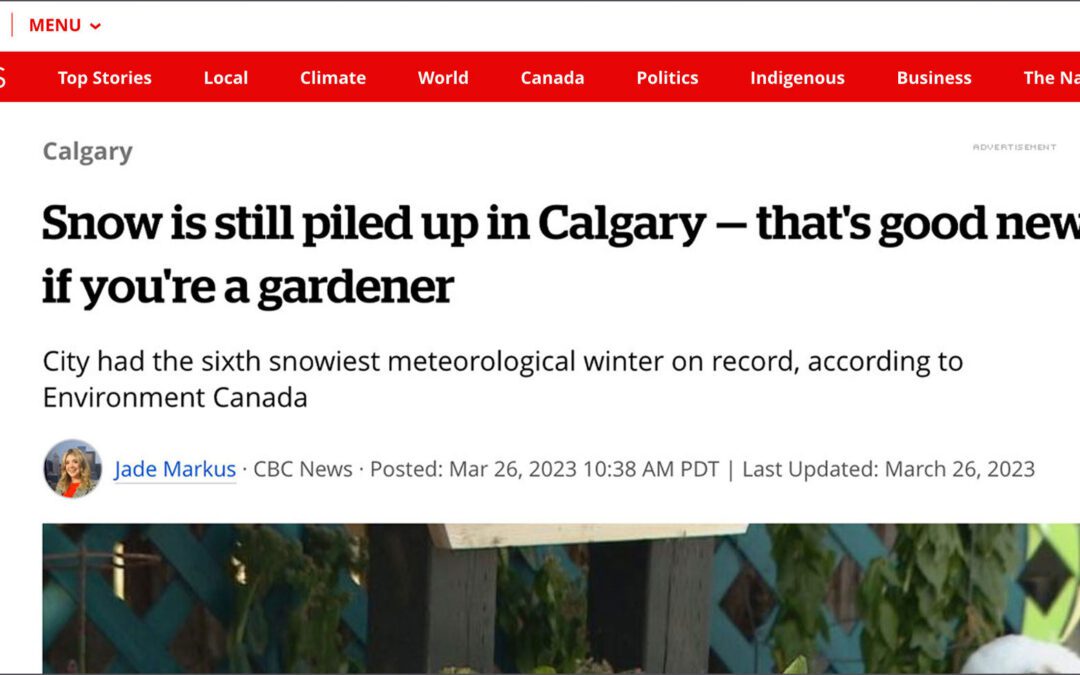 CBC-Article-Featuring-Inhabit-How-does-winter-impact-gardening