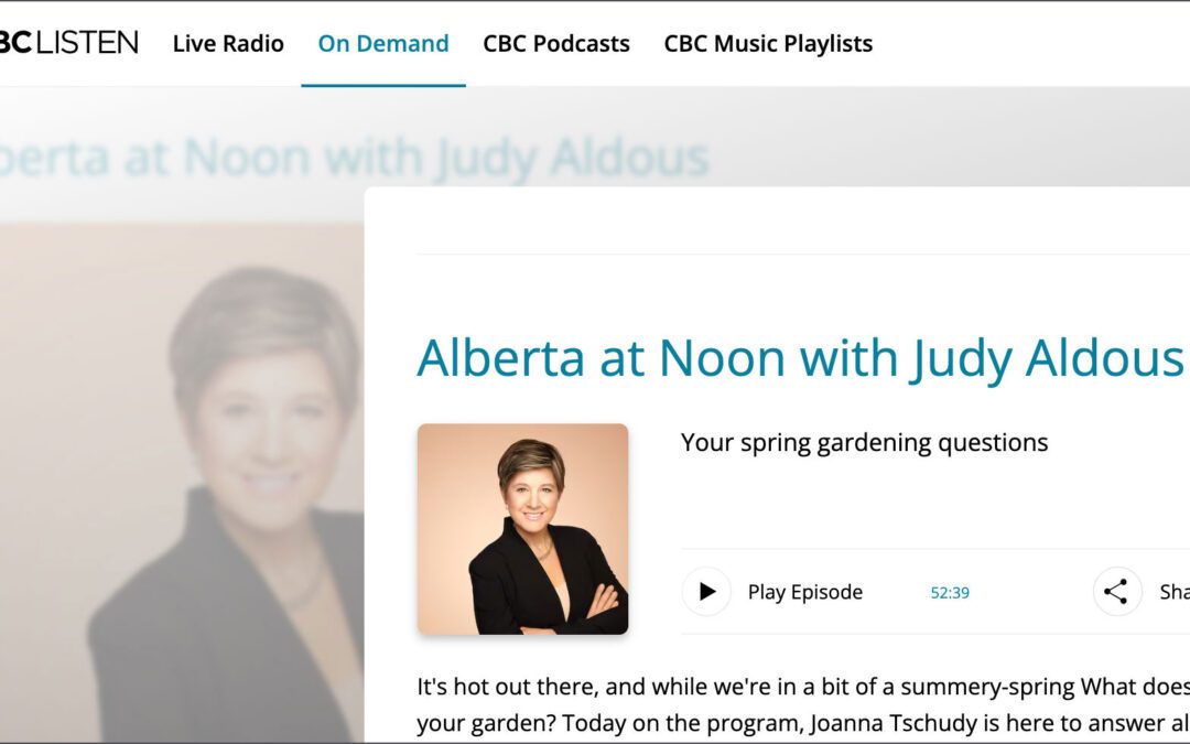 CBC-LISTEN-Radio-Featuring-Inhabit-Owner-Joanna-Tschudy-Alberta-at-Noon