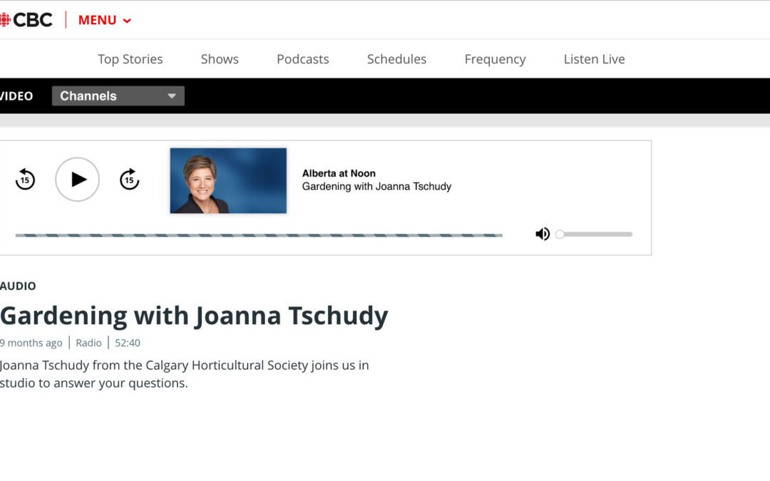 CBC-Featuring-Joanna-Tschudy-from-the-Calgary-Horticultural-Society